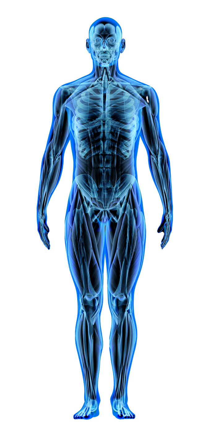 BioMolecular Signature Visualization